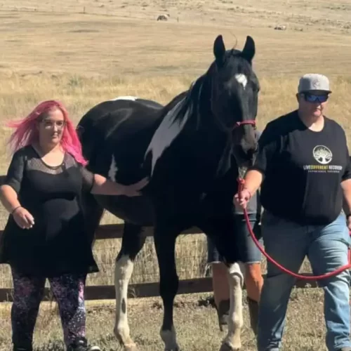 Duke Obstacle Course